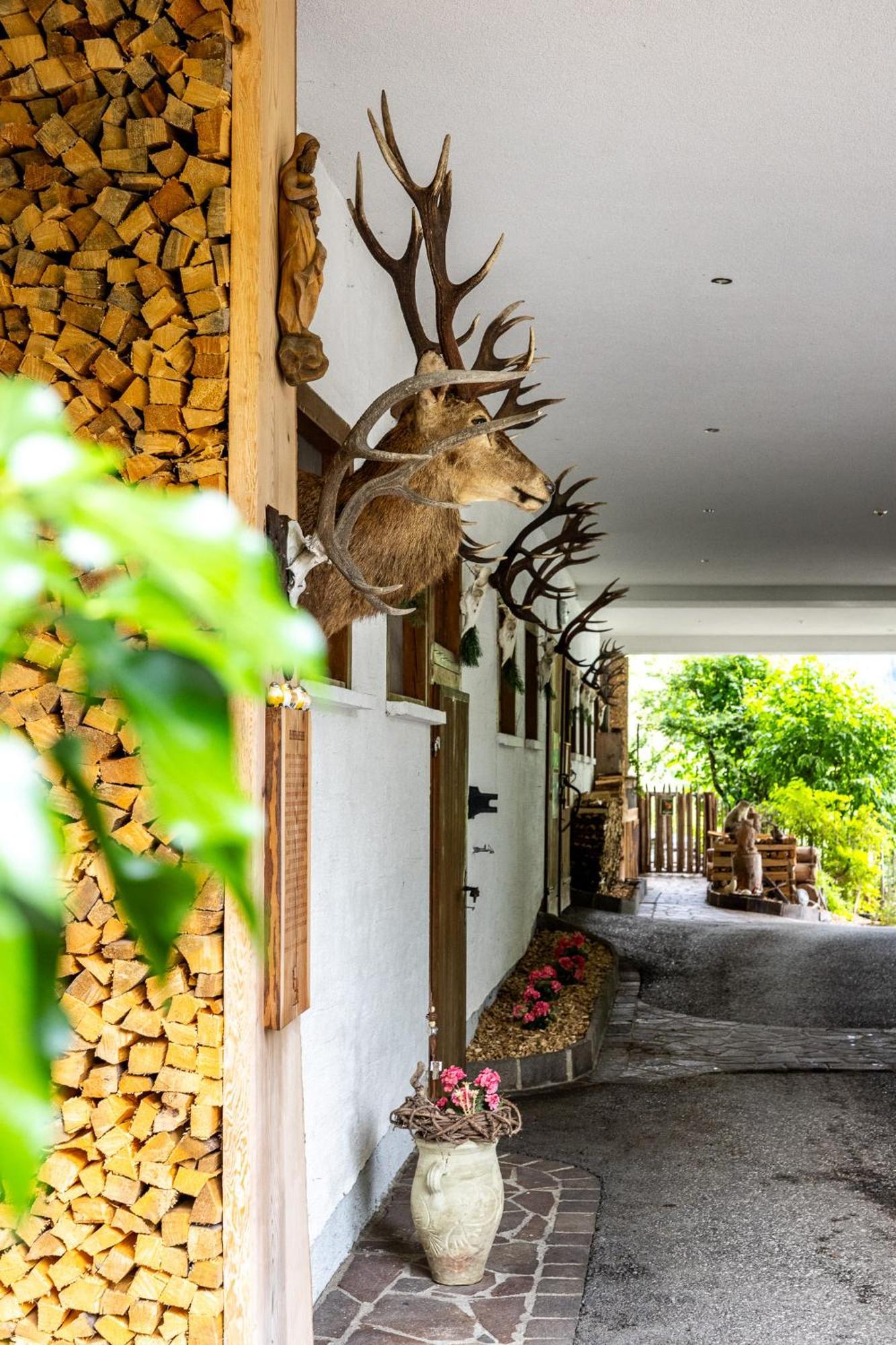 Der Lammhof - Appartements Kaswurm Wagrain Bagian luar foto