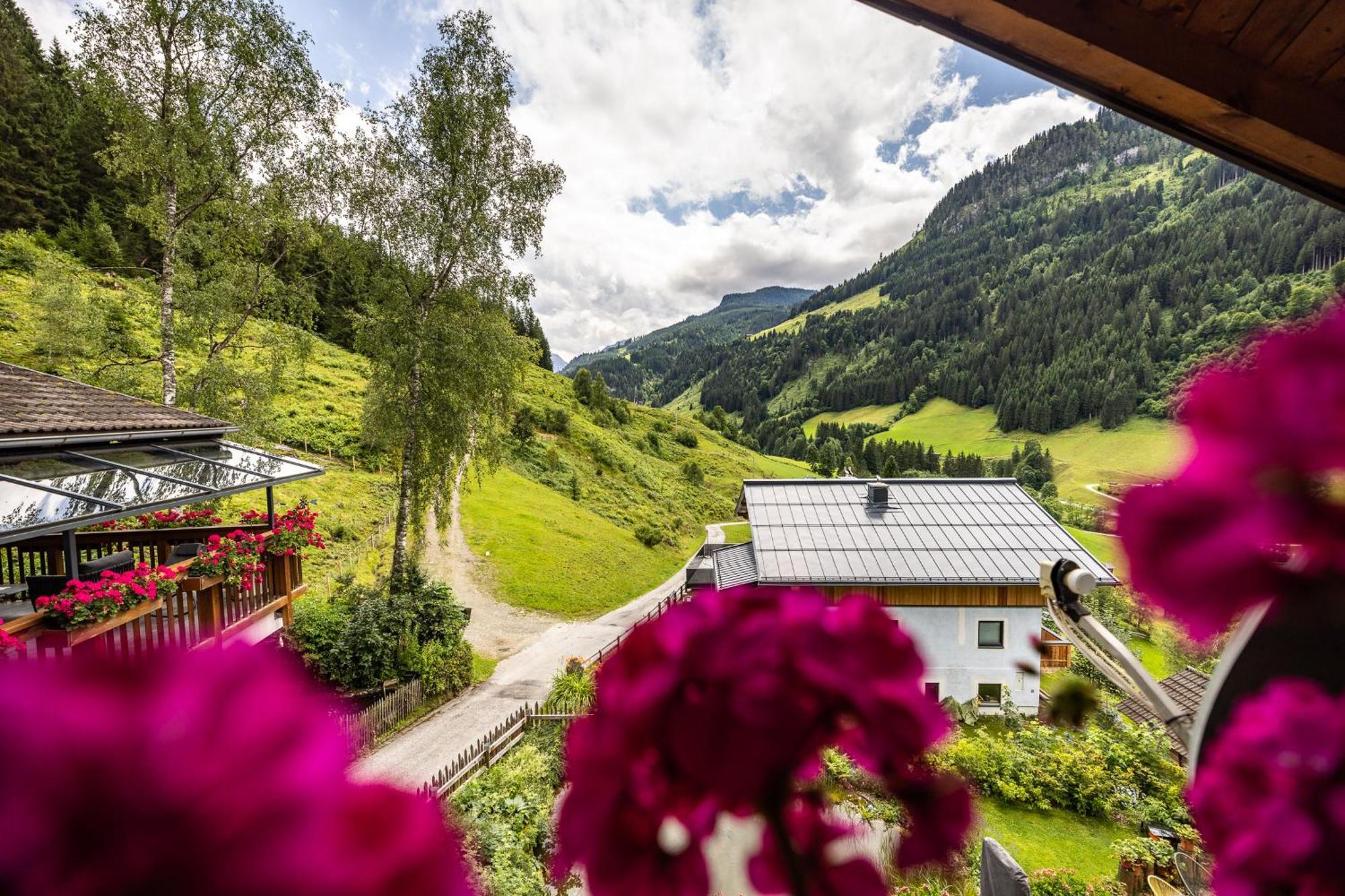 Der Lammhof - Appartements Kaswurm Wagrain Bagian luar foto