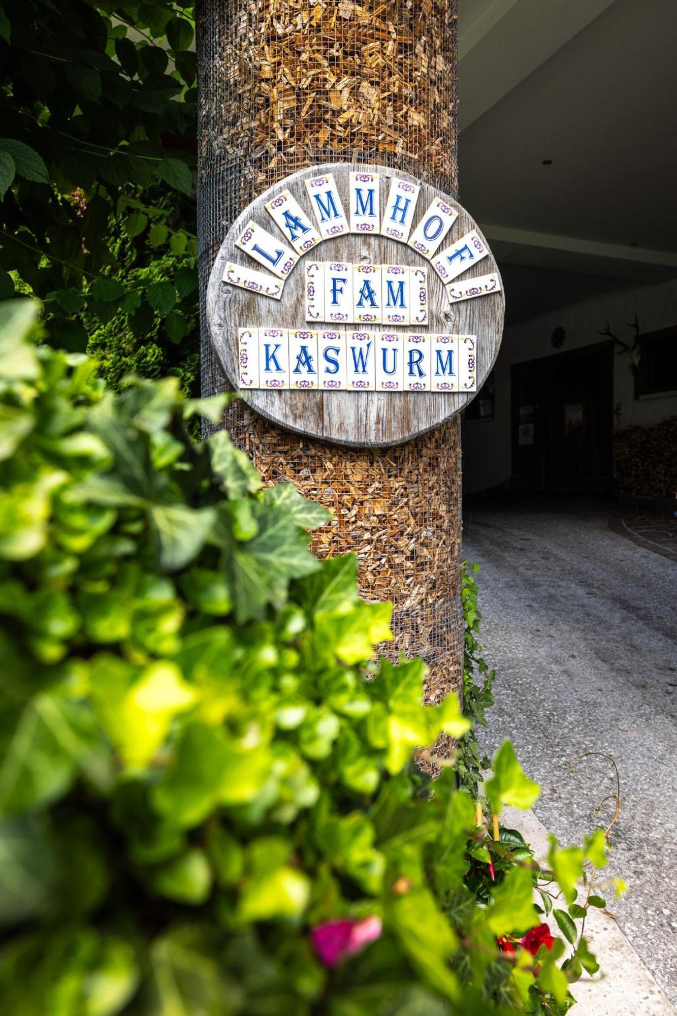 Der Lammhof - Appartements Kaswurm Wagrain Bagian luar foto