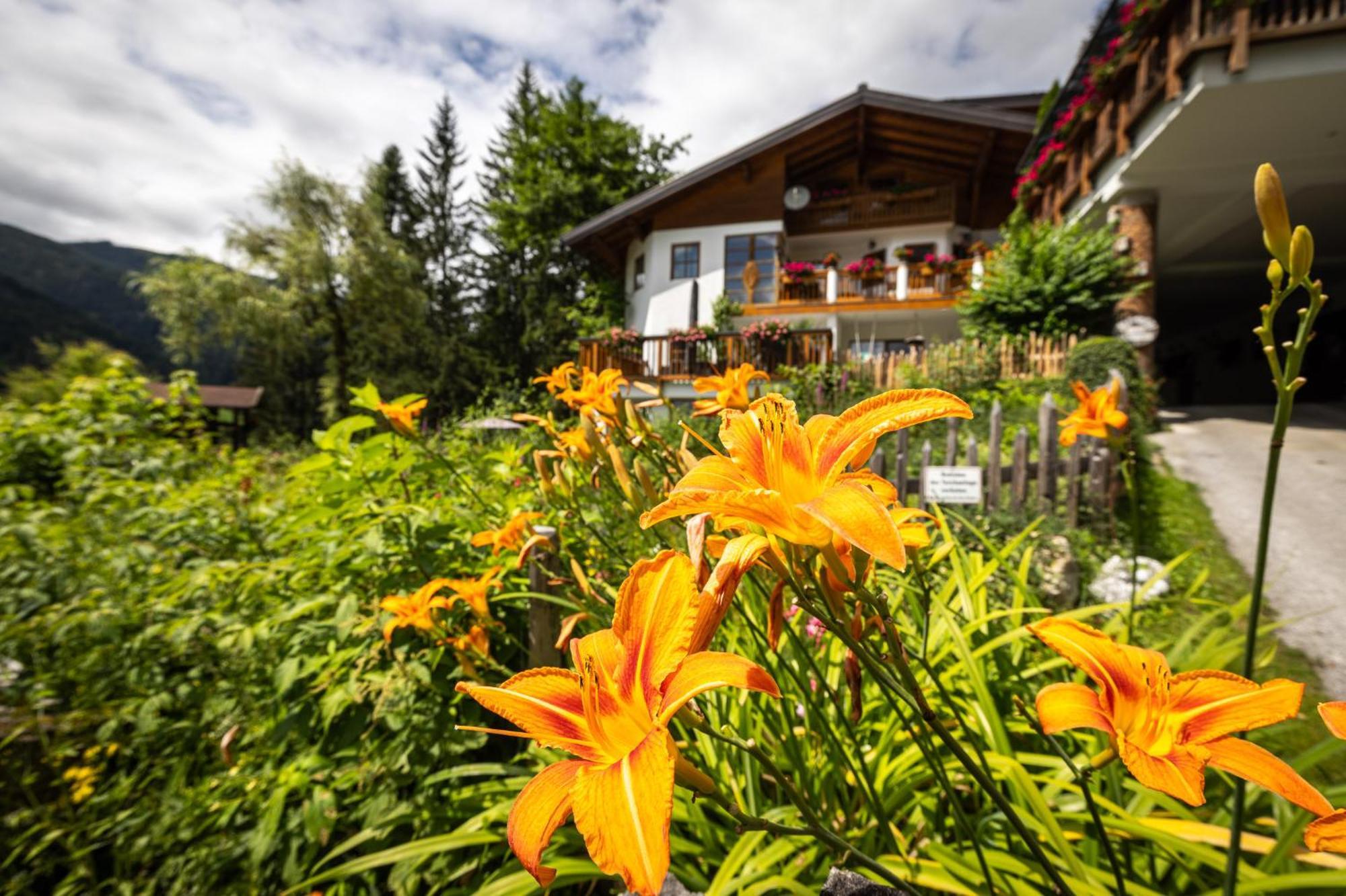 Der Lammhof - Appartements Kaswurm Wagrain Bagian luar foto